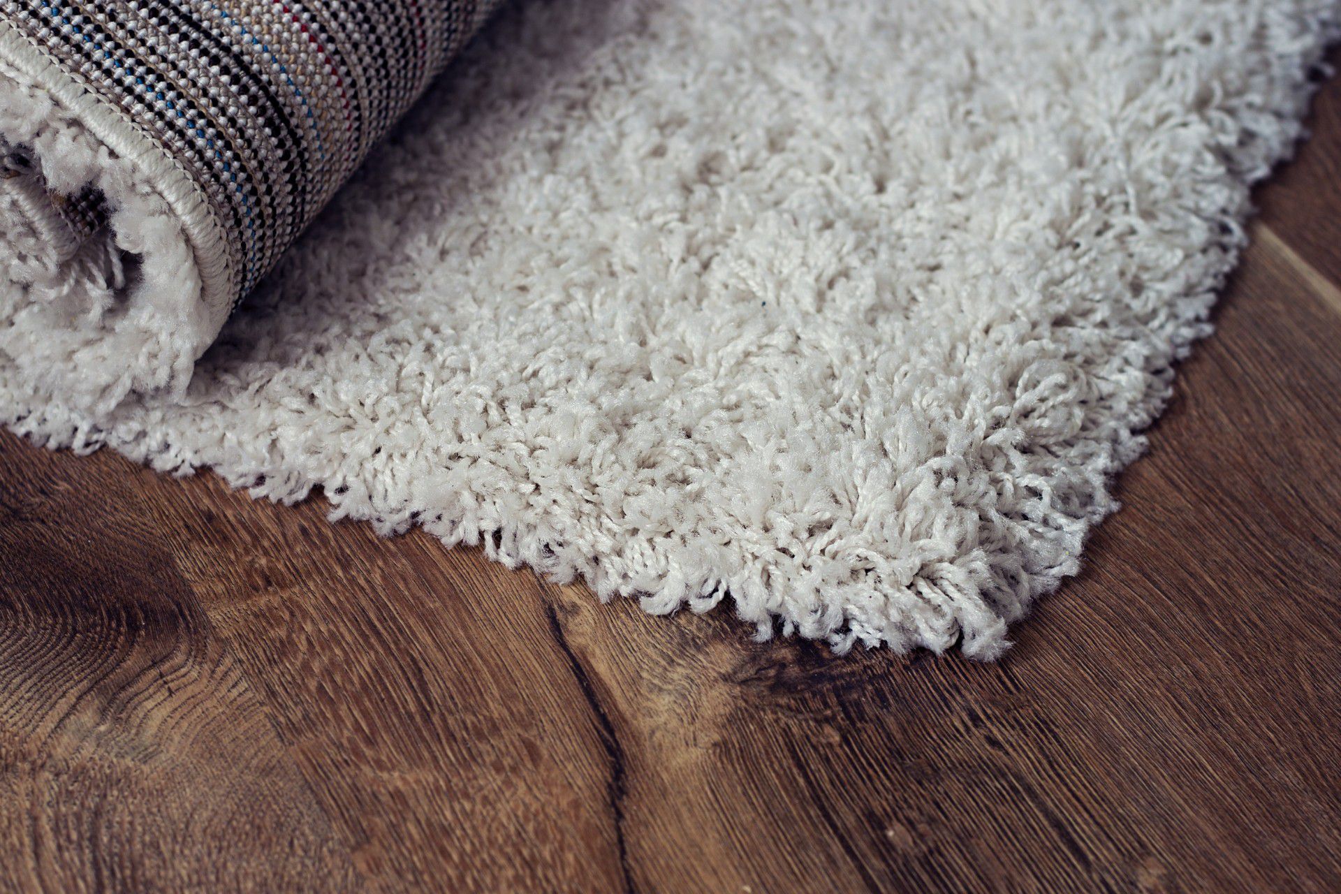 AdobeStock_109302311