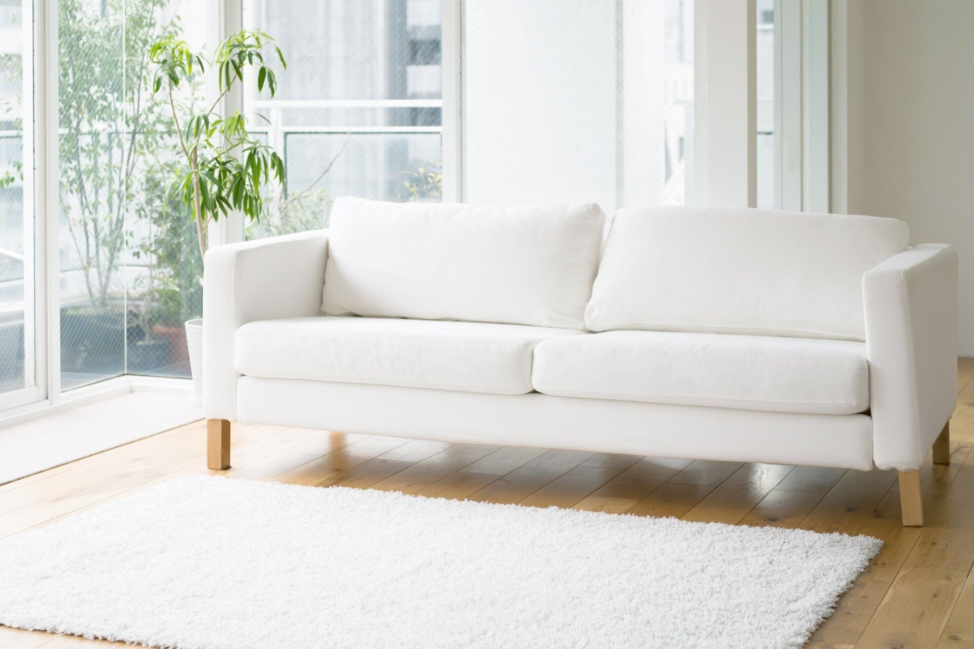 AdobeStock_80461467 - コピー