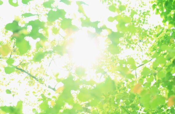 今話題の拭けるキッチンマットとは｜ふみふみ本舗